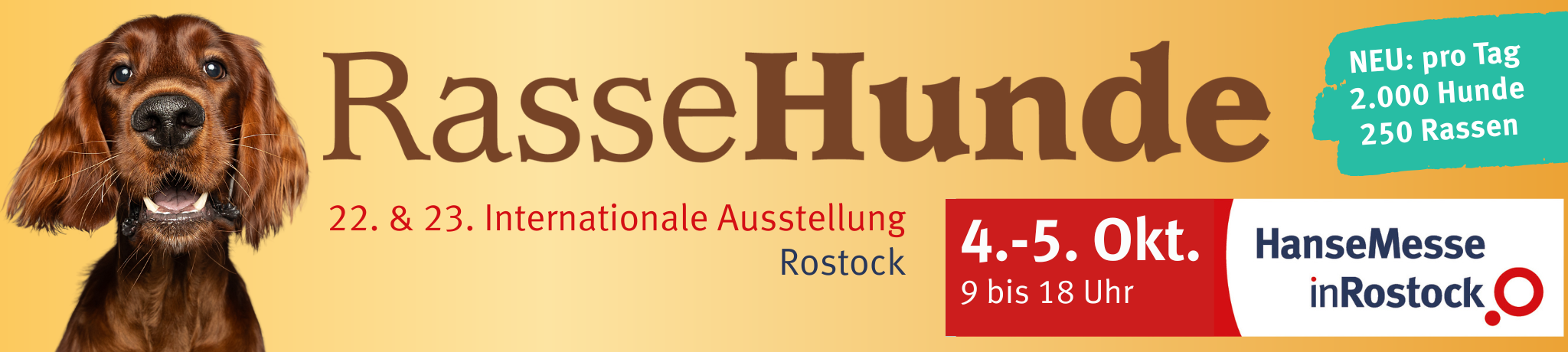 Webbanner 2048 x 460 px