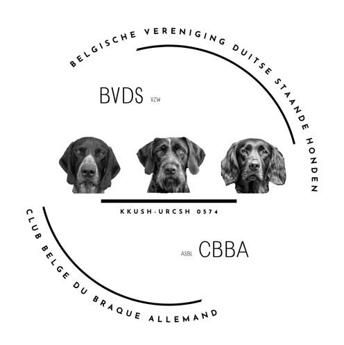 Logo BVDS met achtergrond